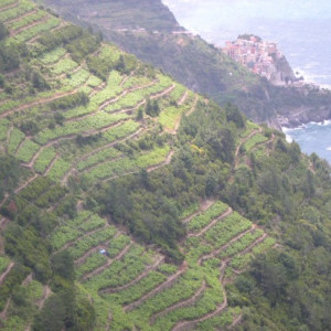 Cinque terre.jpg